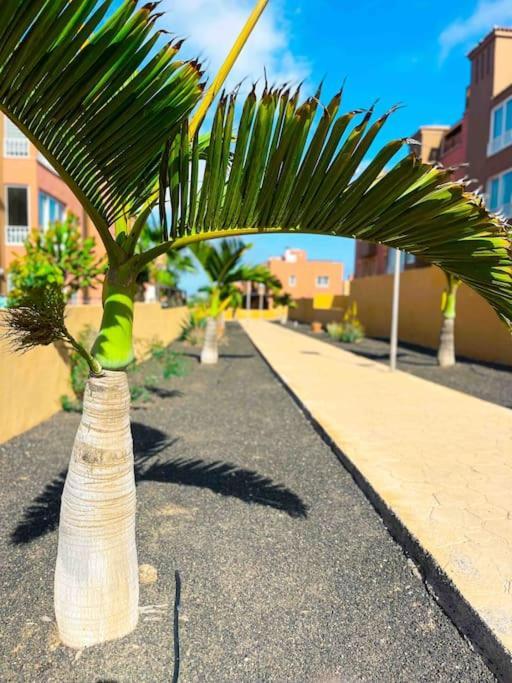 Apartamento Casa Bamboo Corralejo, Espacioso, Piscina Y Parking Buitenkant foto