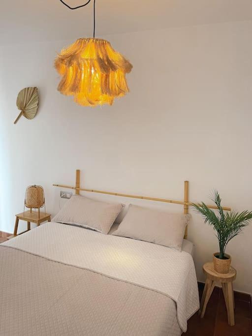 Apartamento Casa Bamboo Corralejo, Espacioso, Piscina Y Parking Buitenkant foto
