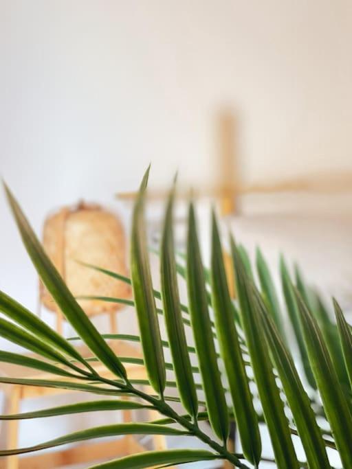 Apartamento Casa Bamboo Corralejo, Espacioso, Piscina Y Parking Buitenkant foto
