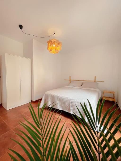 Apartamento Casa Bamboo Corralejo, Espacioso, Piscina Y Parking Buitenkant foto