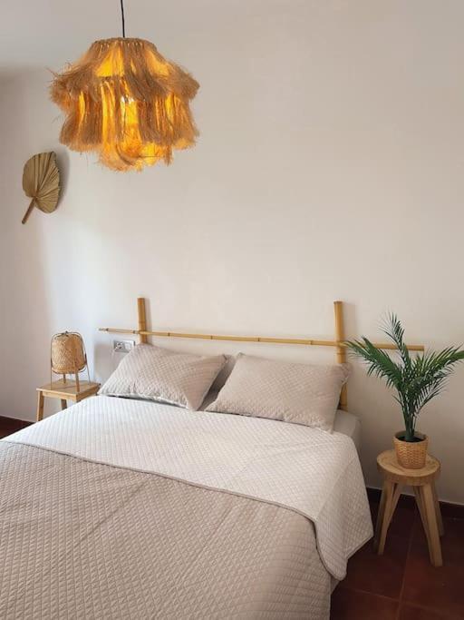 Apartamento Casa Bamboo Corralejo, Espacioso, Piscina Y Parking Buitenkant foto
