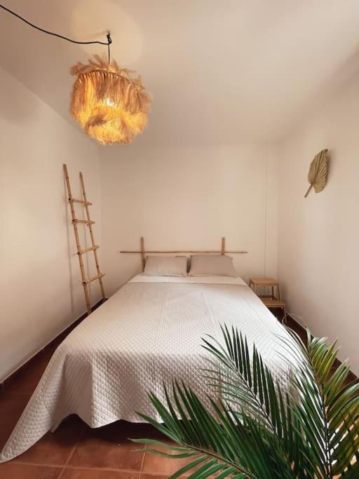 Apartamento Casa Bamboo Corralejo, Espacioso, Piscina Y Parking Buitenkant foto